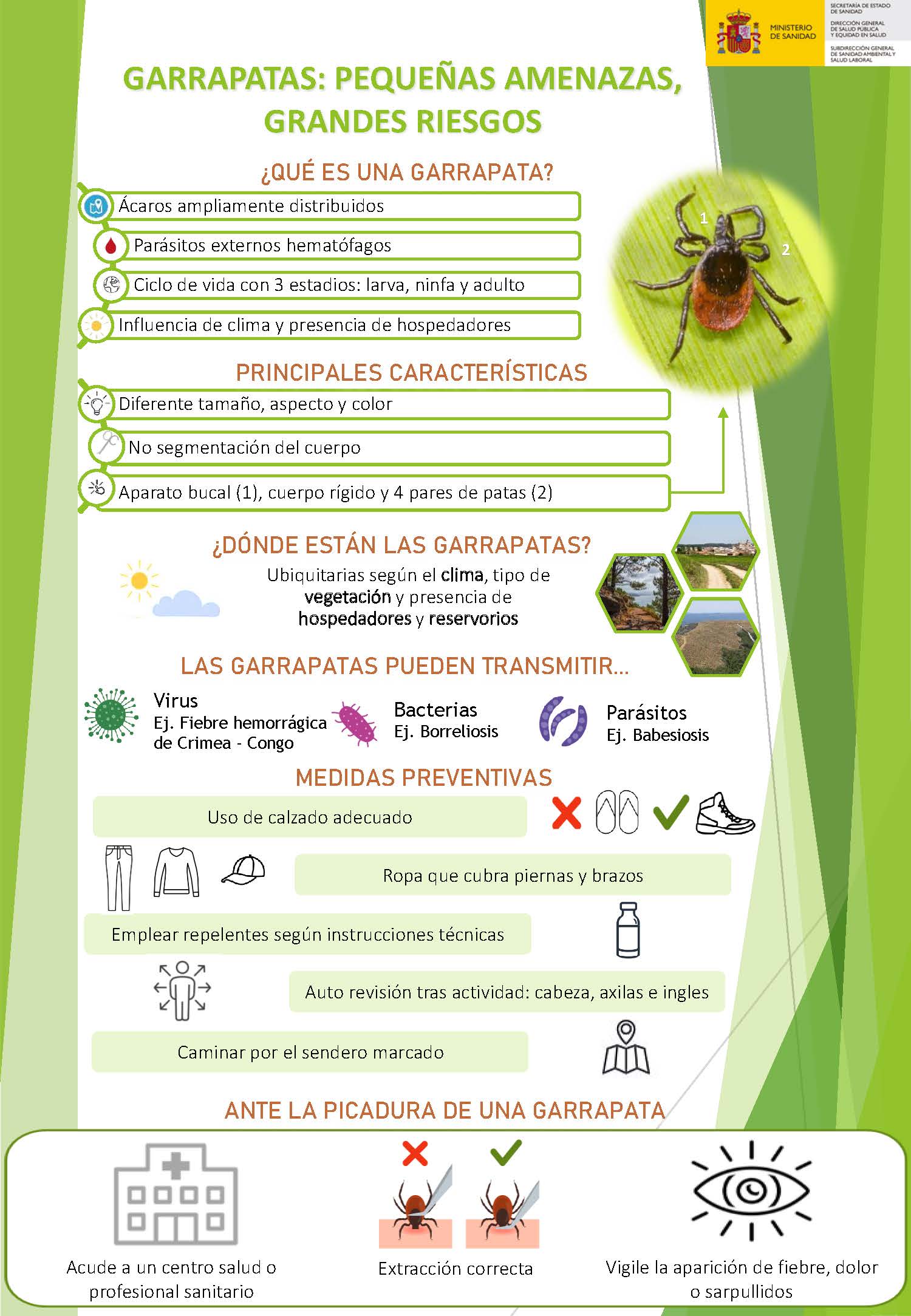 Infografia_Garrapatas_General_Pagina_1