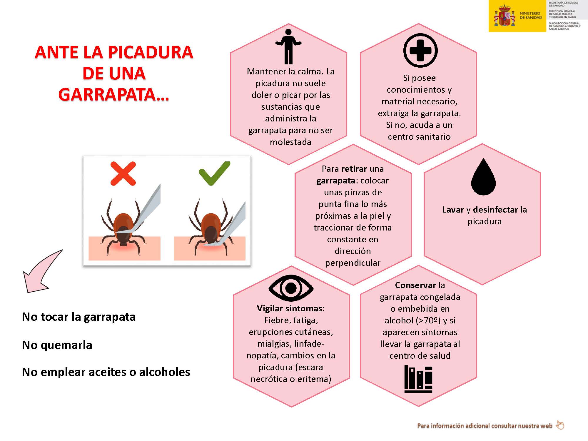 Infografia_Garrapatas_Picaduras