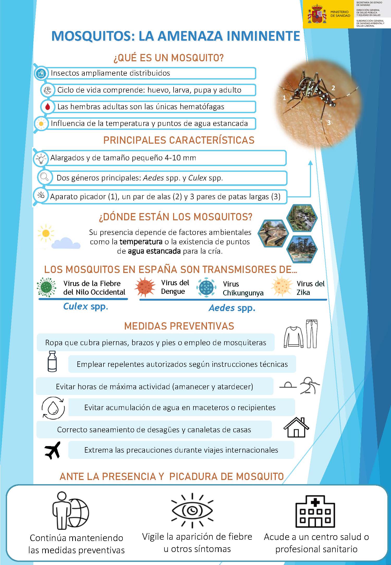 Infografia_mosquitos_general