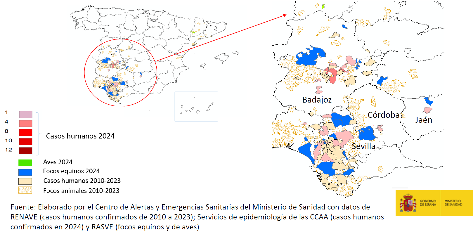 Casos humanos confirmados y focos animales por municipios, 2024